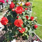 Margret Schmidt - Facebook