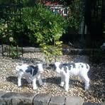 Margret Schmidt - Facebook
