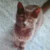Margaret Schultz939 - @mdschultz83 - TikTok