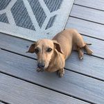 Margaret Schultz - @margaretschultz43 - Instagram