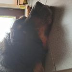 Margret - @margret.schultzheitmann - Instagram