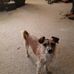 Margaret Stone - Facebook