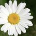 Marguerite Caron - Facebook
