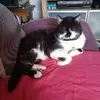 Marguerite Klinkenberg - @marguerite.klinke - TikTok