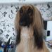 Marguerite Lloyd - Facebook