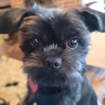 Marguerite MacPherson Kelley - @marguerite_macpherson_kelley - Instagram