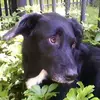 Marguerite McLean - @marguerite.mclean2 - TikTok