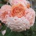 Marguerite Powell - Facebook
