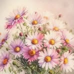 Marguerite Steyn - Facebook