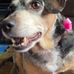 Marguerite Stephens - Facebook