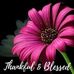 Marguerite Wallace - Facebook