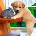 Marguerite Wallace - Facebook