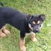 Margy Brown - Facebook