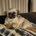 Margy Cooper - Facebook