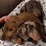 Margy Lang - @margy_lang - Instagram