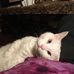 Margy Nelson - Facebook