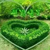 MaRGy.MpArk - @mamd722 - TikTok