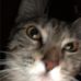 Mari Abbott - Facebook
