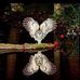 Marie Abbott - Facebook