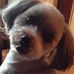 Mari Abel - Facebook