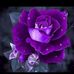 Mari Abril - Facebook