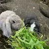 Frau Vogel - @maritaadler - TikTok