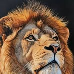 Mari Amaro - Facebook