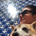 Mariana Andersen - @mariandersen - Instagram