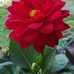 Mari Badillo - Facebook