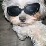 Mari Badillo - @mari.badillo.77964 - Instagram