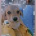 Mari Baez - Facebook