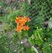 Mari Klaesing Barker - Facebook