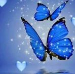 Mari Baron - Facebook