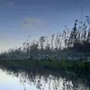 Mari Bauer - @mari_bauer - TikTok