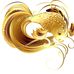 Mari Baum - Facebook