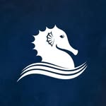 Cavalo Marinho Beach Club - @cavalomarinhobeach - Instagram