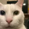 ☆_mari_☆ - @mariblumm - TikTok