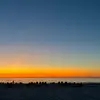 marin - @marin.carpenter - TikTok