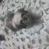 mariana - @maricody - TikTok