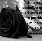 Mari Dominguez - Facebook