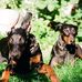 Maria Engelhardt - Facebook