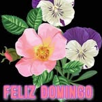 Mari Gallo - @gallo5664 - Instagram