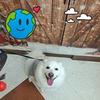 Marie Gillespie - @marie.gillespie8 - TikTok