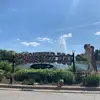 marigrove - @marigrove - TikTok