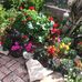 Mari Hayes - Facebook