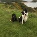 Marie Horne - Facebook