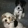 Marie Howe - @marie.howe3 - TikTok