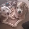 Marie Howe - @marie.howe2 - TikTok