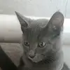 mari_Ivan_ - @mari_ivan_ - TikTok