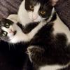 Marie_Kinney - @marie_kinney - TikTok